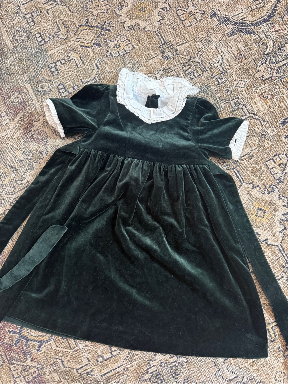 Edgehill Collection Dark Green Velvet Dress with White Lace Collar